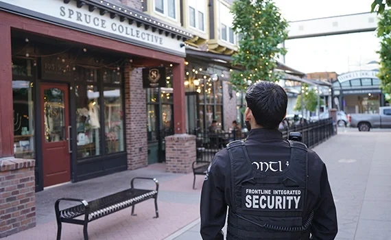 residential--security--img